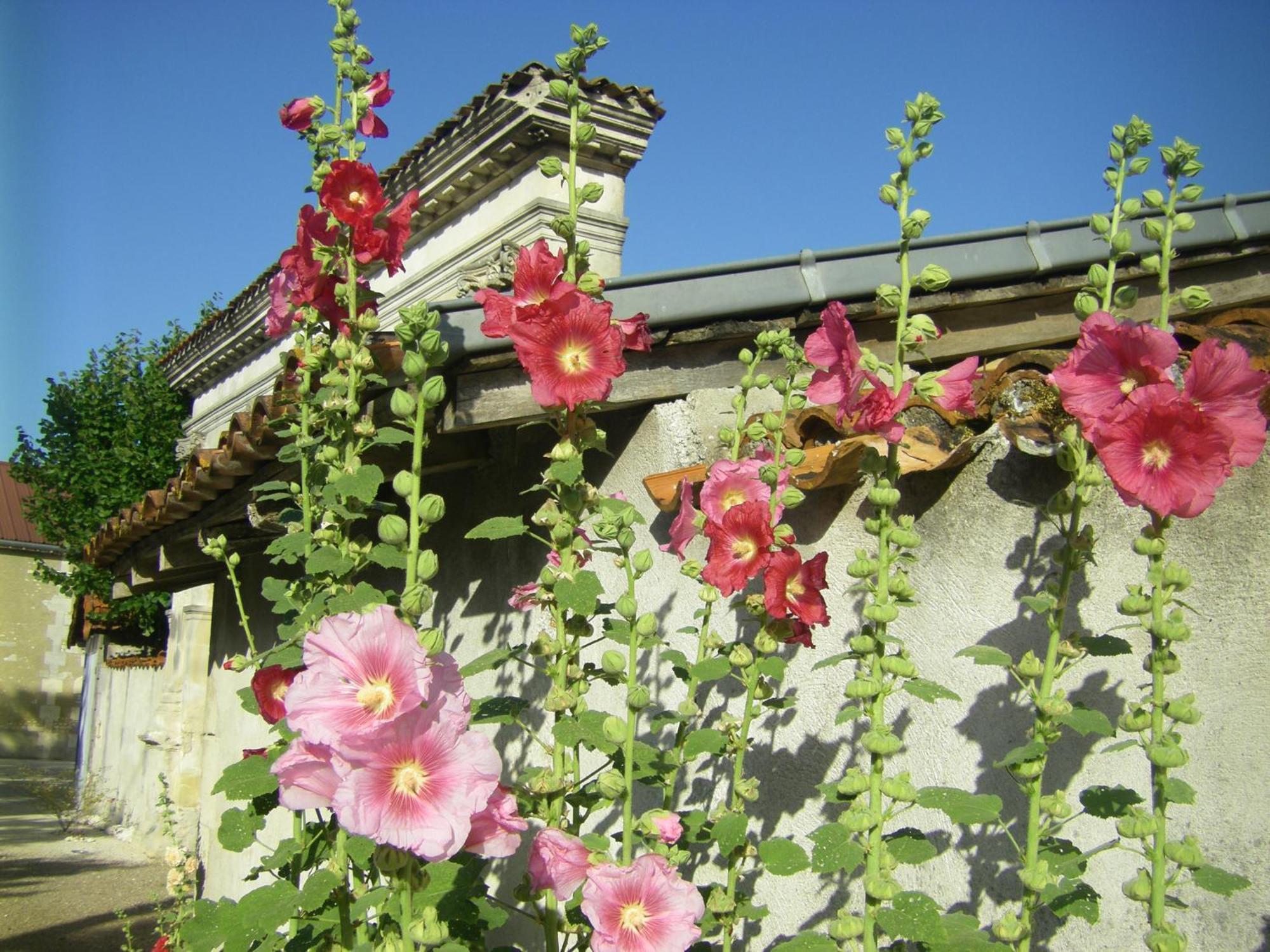 Chambre D'Hotes Clos Des Pierres Blanches Brie-sous-Archiac Exterior foto